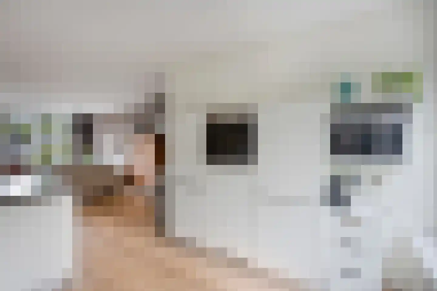 Rode Klaver 3 Uithoorn thumbnail 6