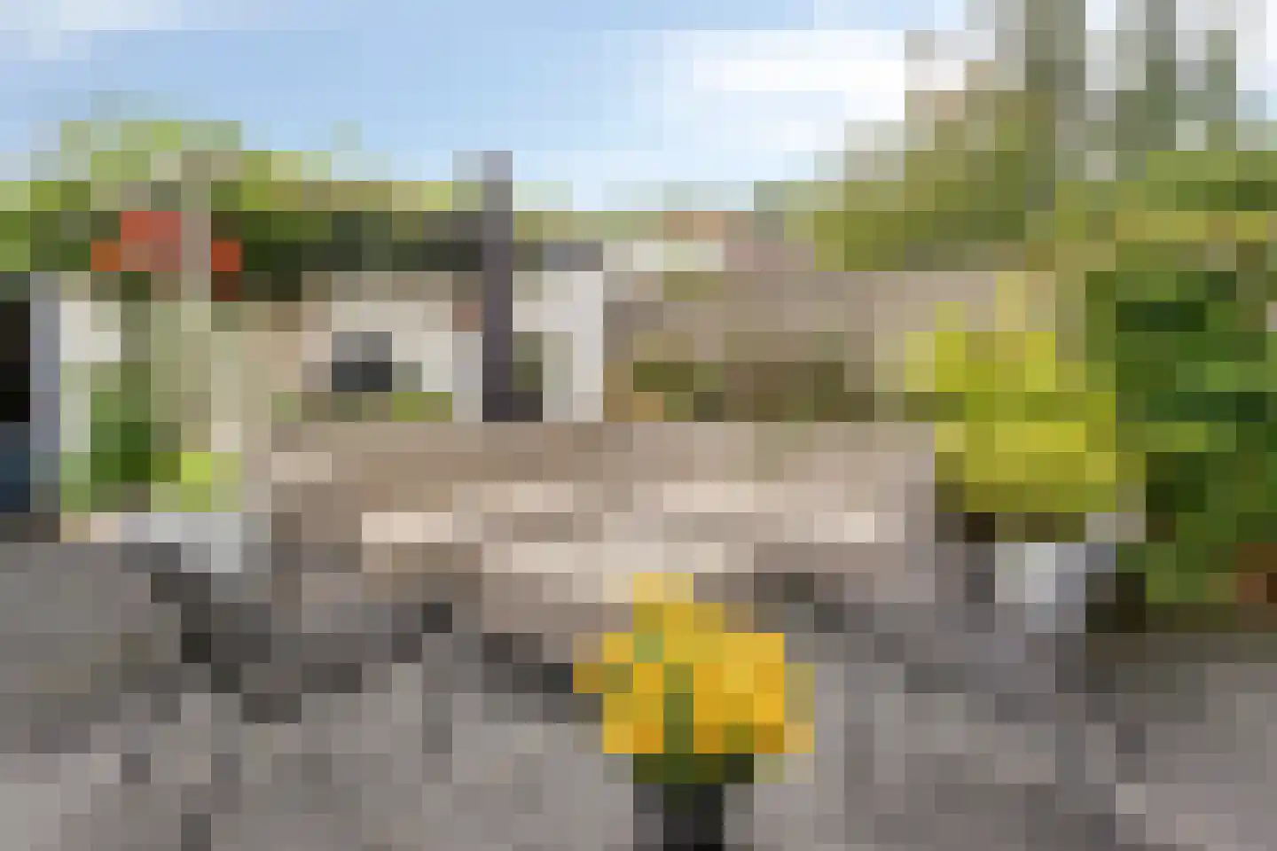 Rode Klaver 3 Uithoorn thumbnail 8