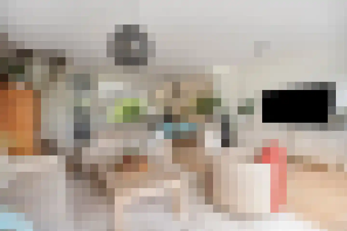 Rode Klaver 3 Uithoorn thumbnail 9