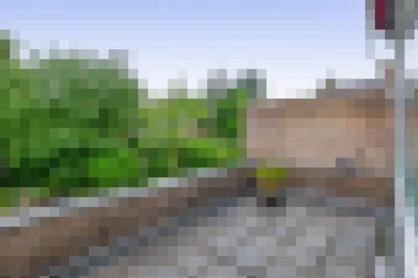 Rode Klaver 34 Krimpen aan den IJssel thumbnail 25
