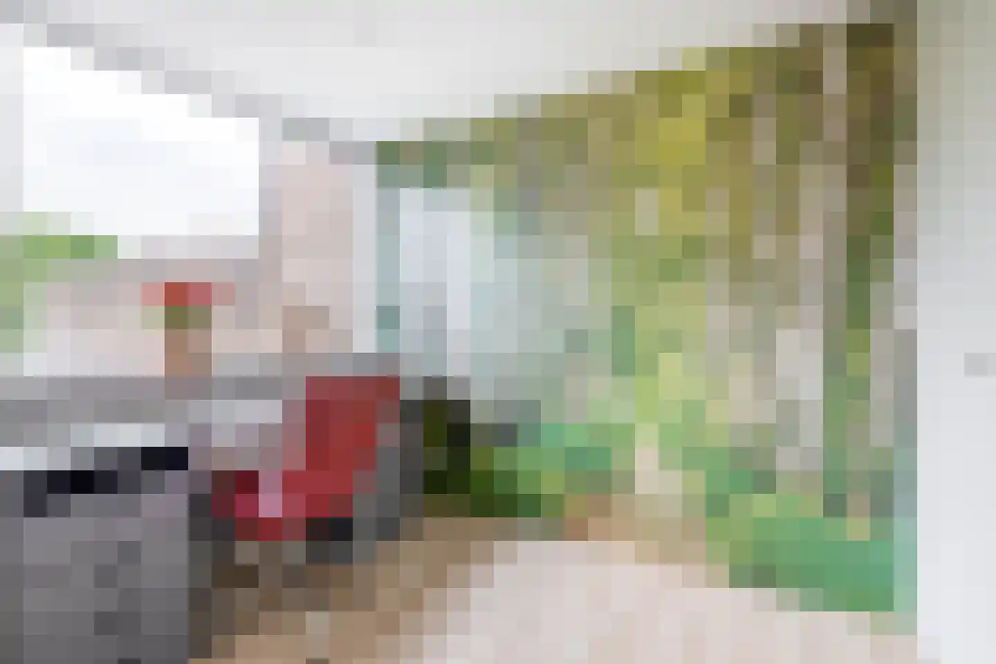 Rode Klaver 34 Krimpen aan den IJssel thumbnail 34