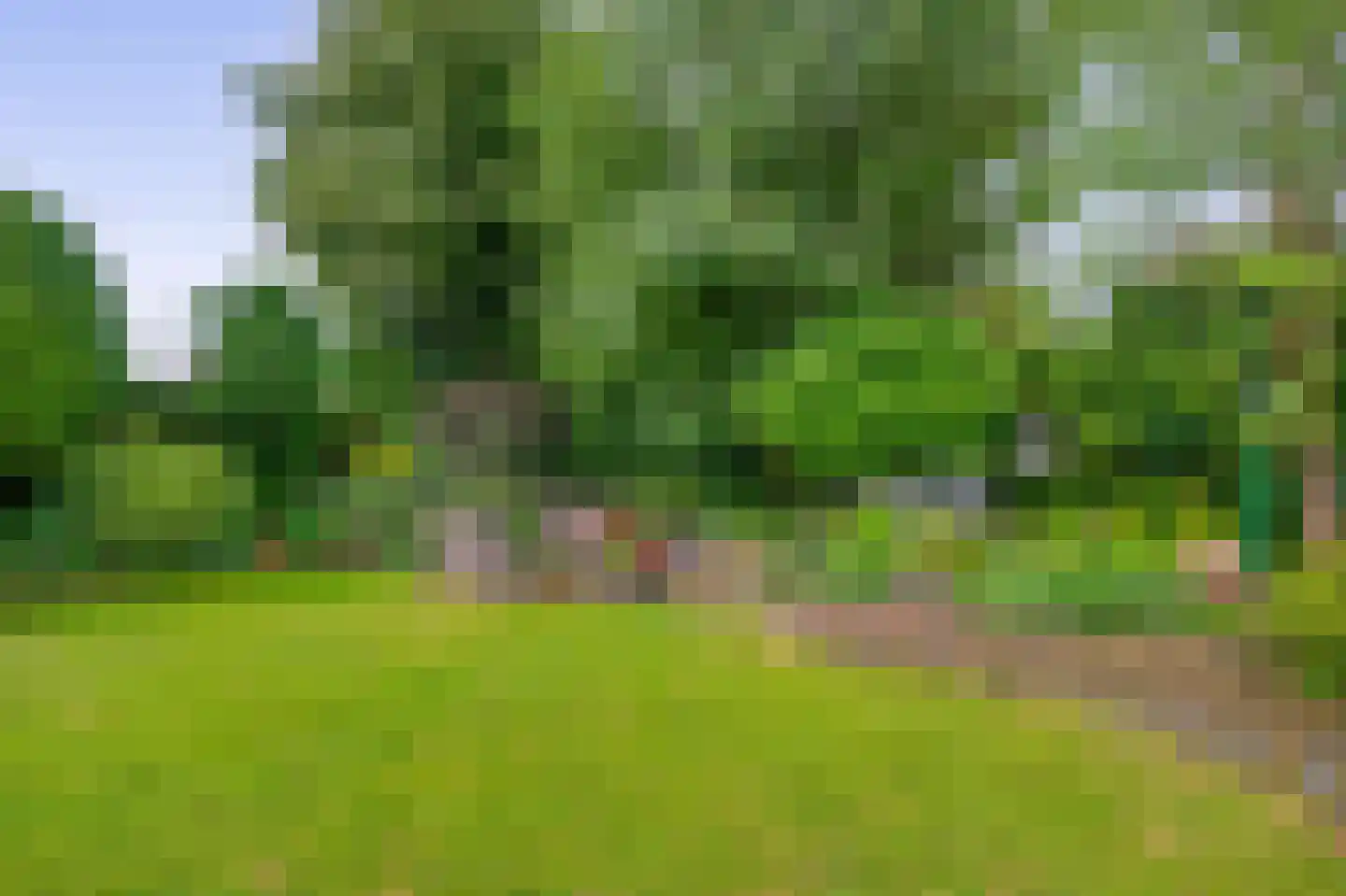 Rode Klaver 34 Krimpen aan den IJssel thumbnail 40