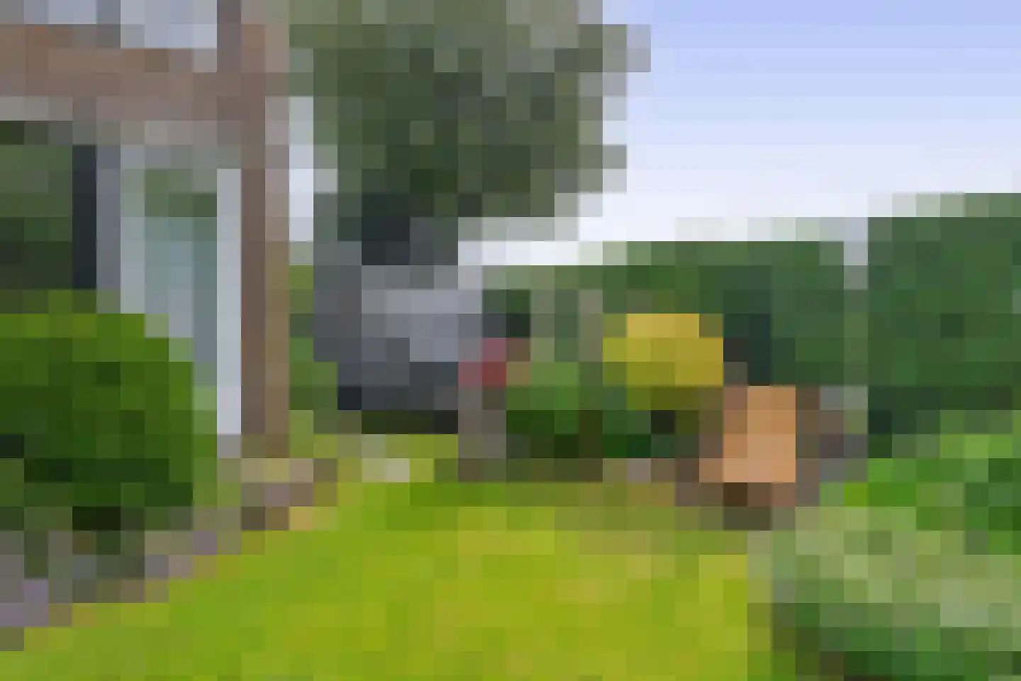 Rode Klaver 34 Krimpen aan den IJssel thumbnail 41