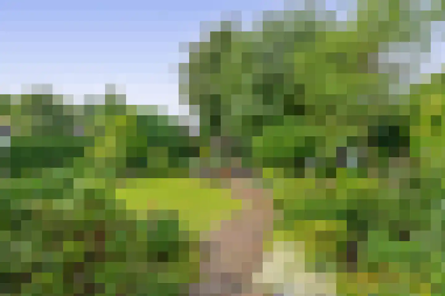 Rode Klaver 34 Krimpen aan den IJssel thumbnail 45