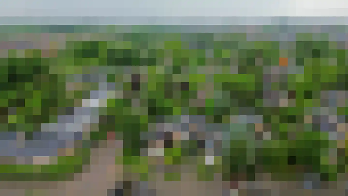 Rode Klaver 34 Krimpen aan den IJssel thumbnail 50