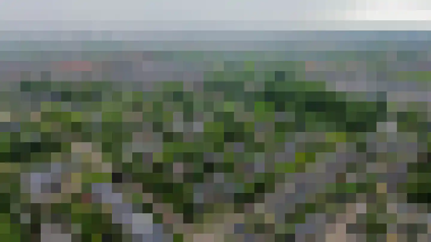 Rode Klaver 34 Krimpen aan den IJssel thumbnail 52