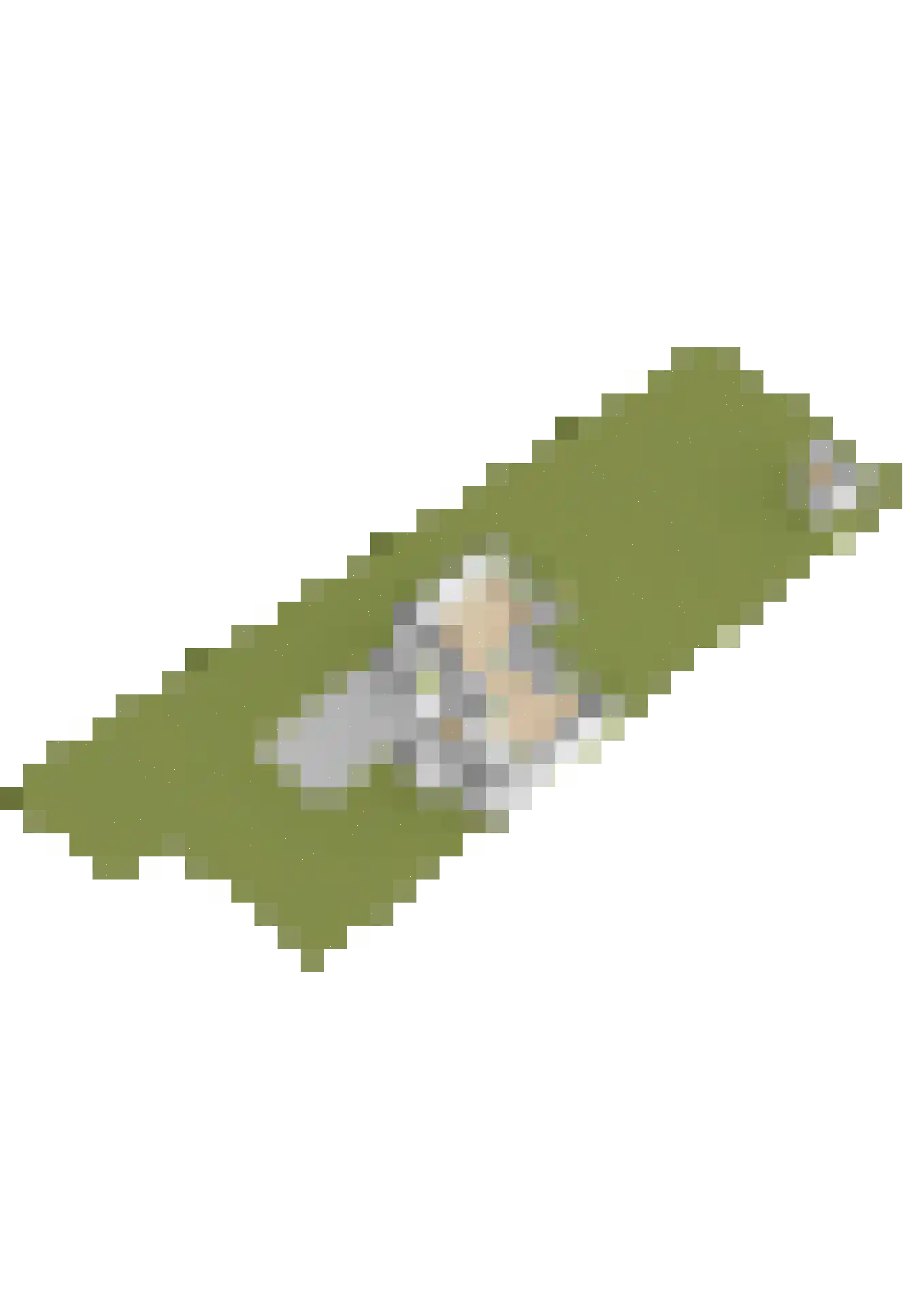 Rode Klaver 34 Krimpen aan den IJssel thumbnail 54