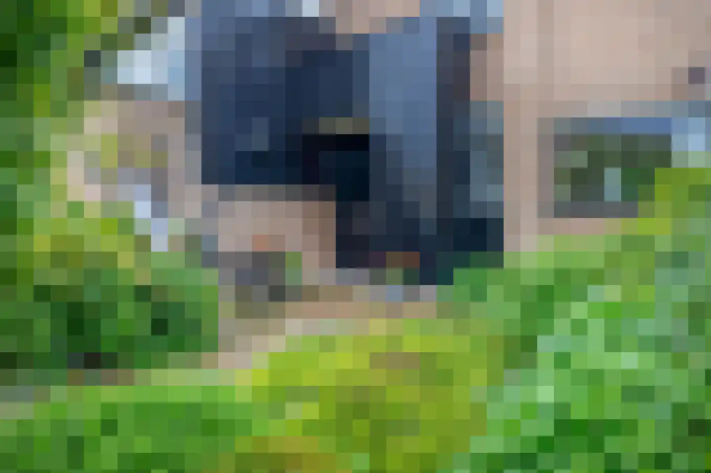 Rode Klaver 34 Krimpen aan den IJssel thumbnail 6