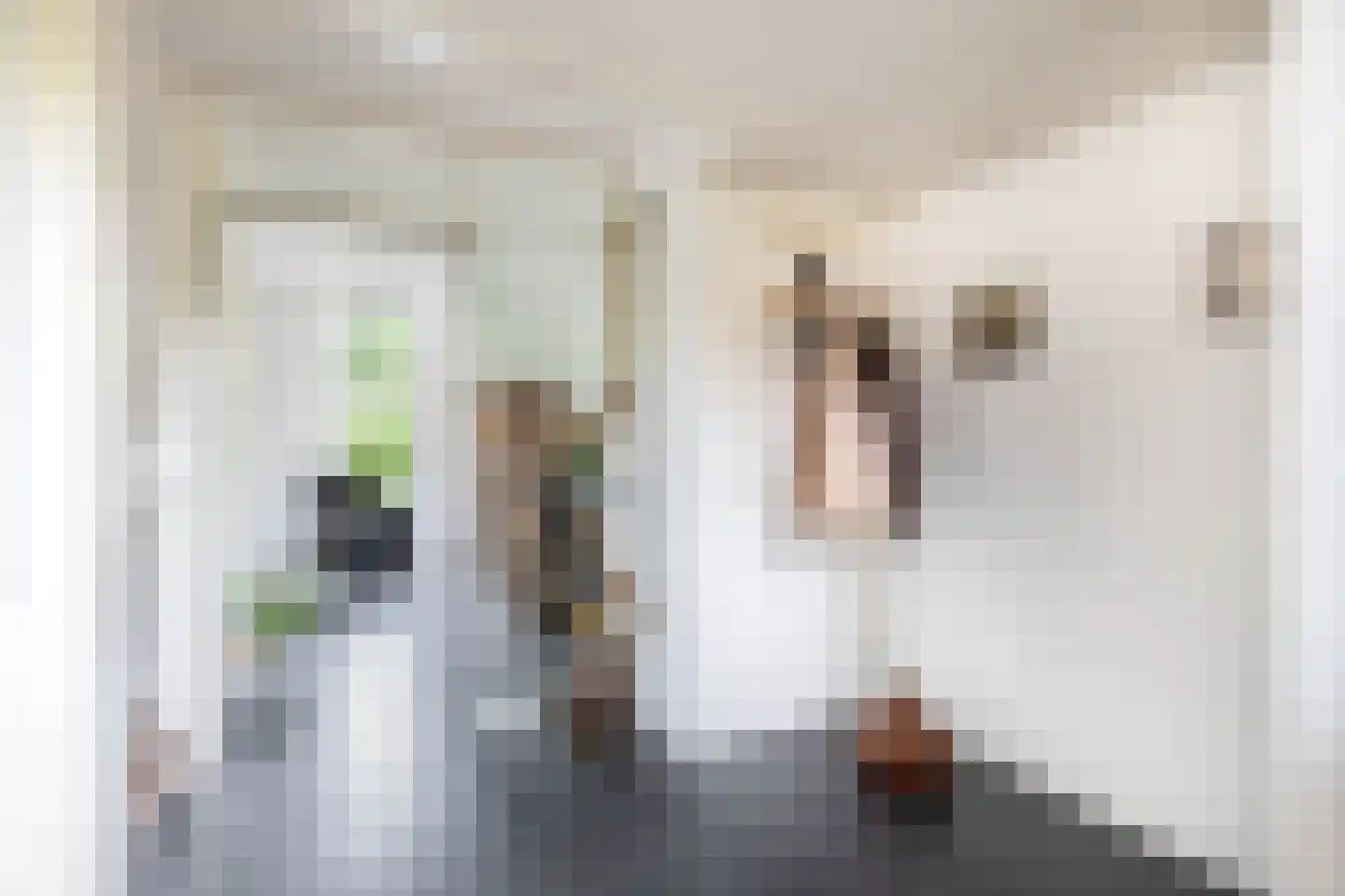 Rode Klaver 34 Krimpen aan den IJssel thumbnail 8