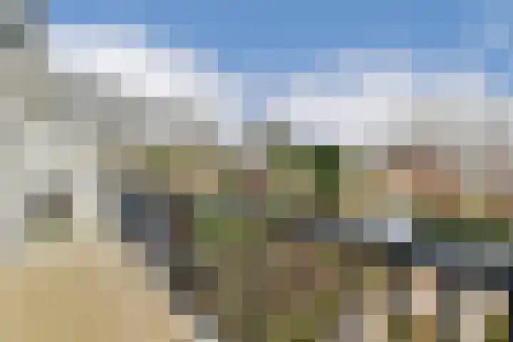 Rode Klaver 38 Uithoorn thumbnail 14