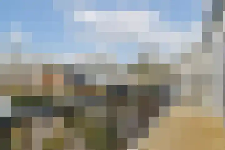 Rode Klaver 38 Uithoorn thumbnail 15