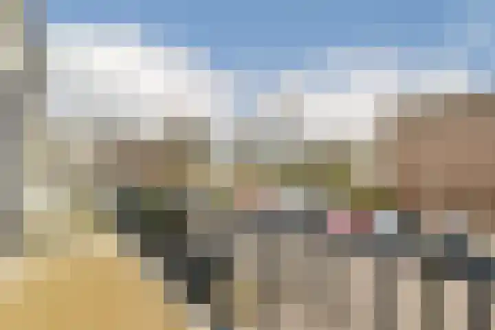 Rode Klaver 38 Uithoorn thumbnail 21