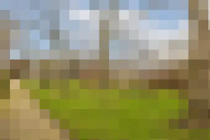 Rode Klaver 38 Uithoorn thumbnail 33