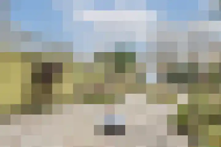 Rode Klaver 38 Uithoorn thumbnail 7
