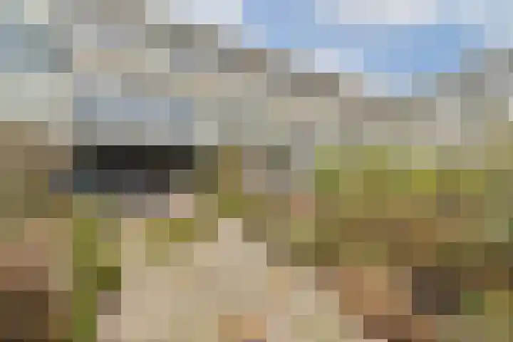 Rode Klaver 38 Uithoorn thumbnail 8