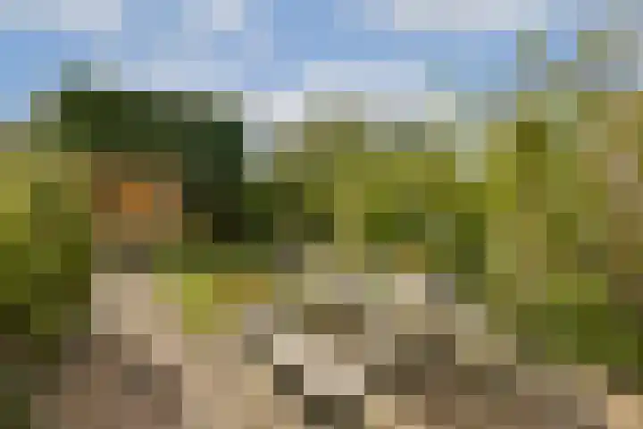 Rode Klaver 42 Uithoorn thumbnail 10