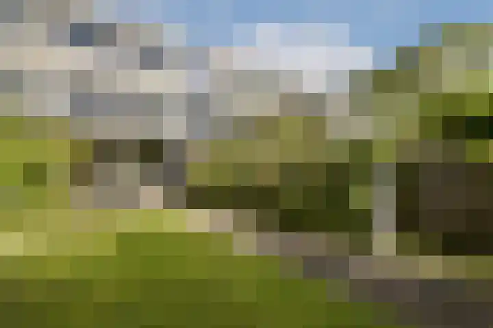 Rode Klaver 42 Uithoorn thumbnail 11