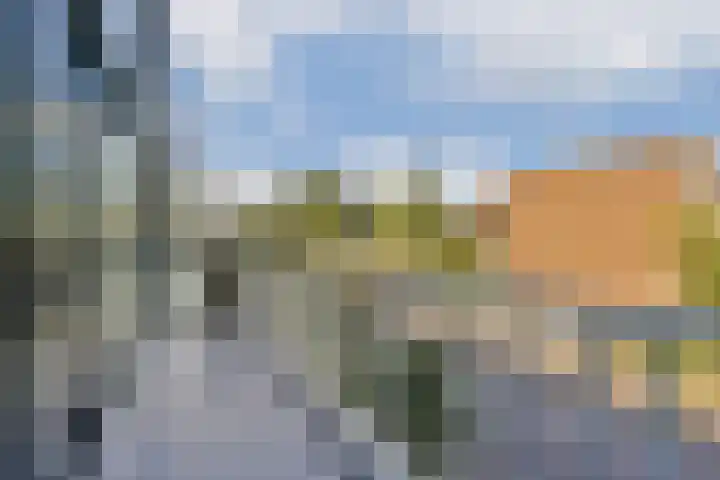 Rode Klaver 42 Uithoorn thumbnail 19