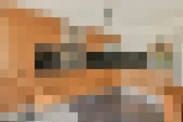 Rode Klaver 42 Uithoorn thumbnail 7