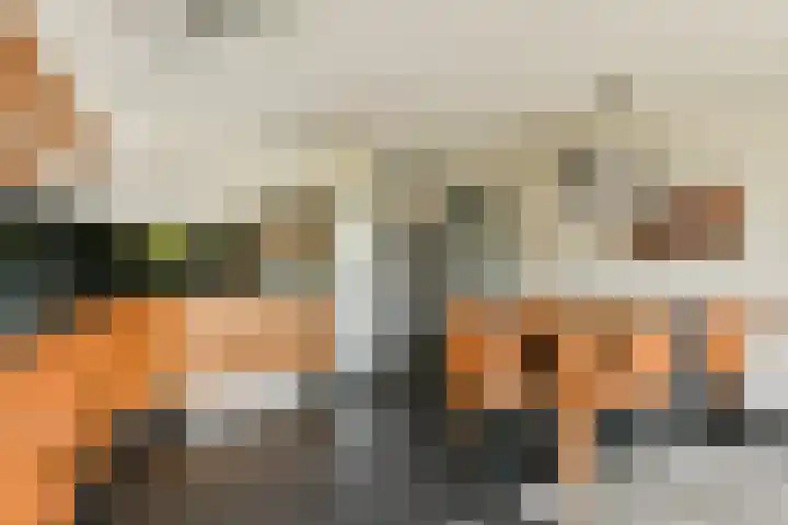 Rode Klaver 42 Uithoorn thumbnail 8