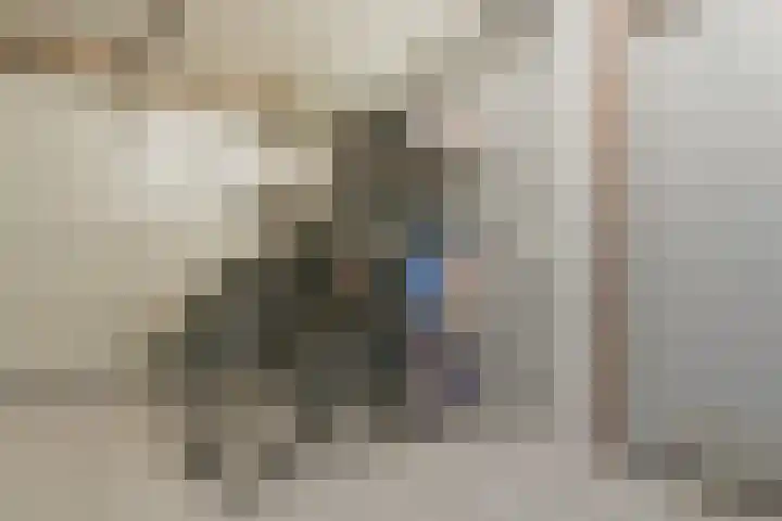 Rode Klaver 44 Uithoorn thumbnail 10