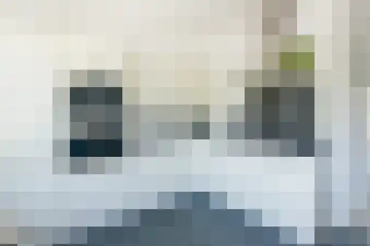 Rode Klaver 44 Uithoorn thumbnail 11