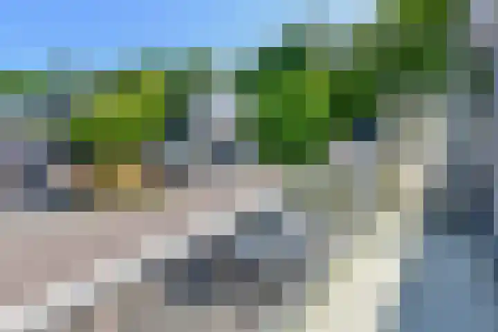 Rode Klaver 44 Uithoorn thumbnail 13