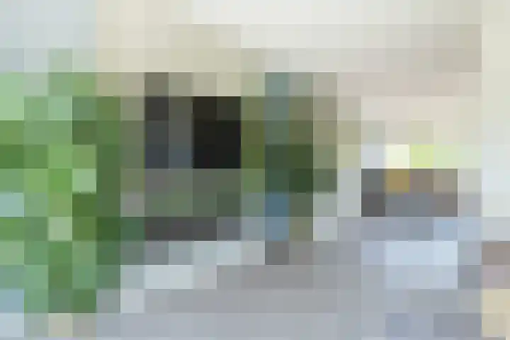 Rode Klaver 44 Uithoorn thumbnail 17