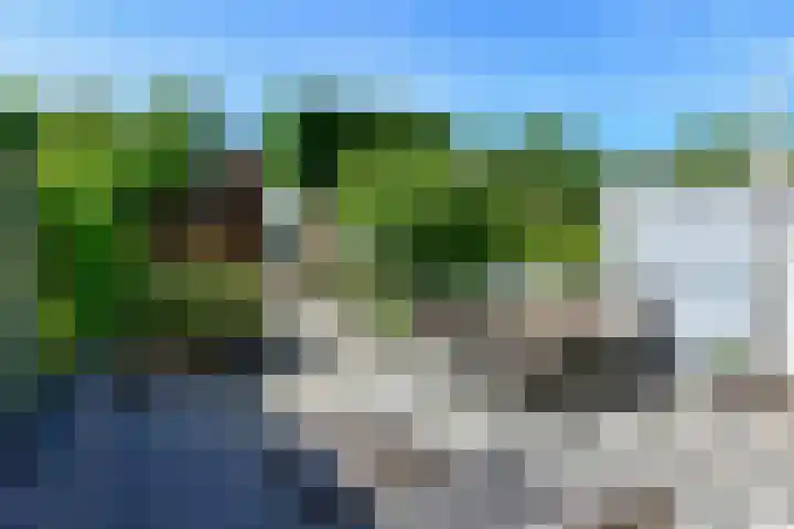 Rode Klaver 44 Uithoorn thumbnail 26
