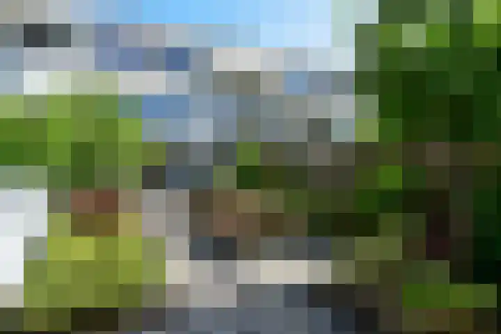 Rode Klaver 44 Uithoorn thumbnail 27