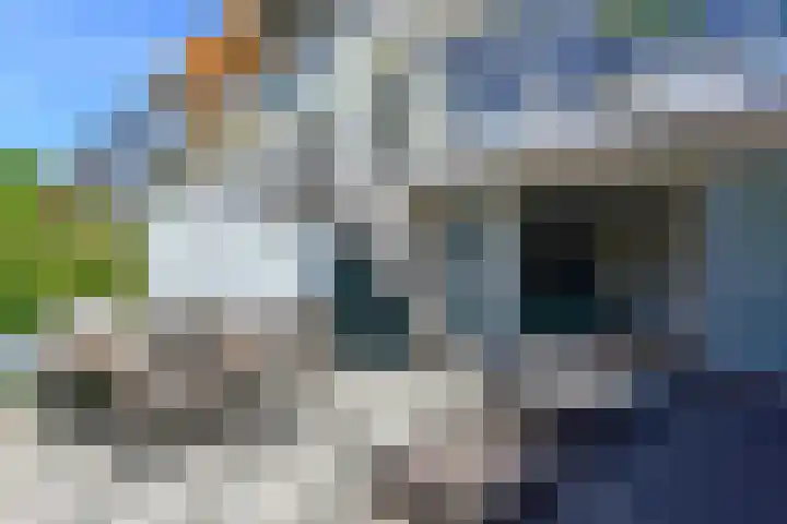 Rode Klaver 44 Uithoorn thumbnail 28