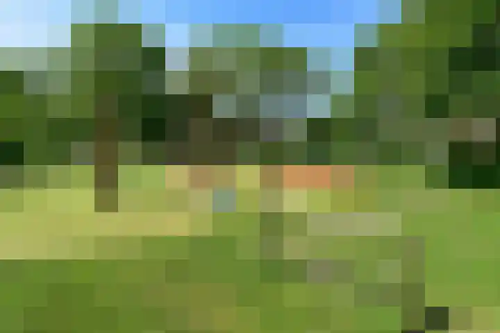 Rode Klaver 44 Uithoorn thumbnail 31