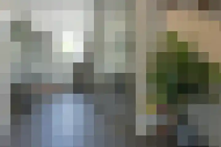 Rode Klaver 44 Uithoorn thumbnail 5