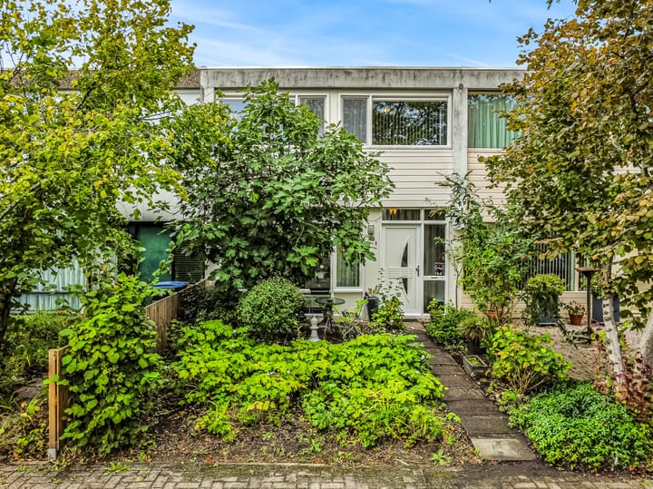 Rode Klaver 45 in Uithoorn photo