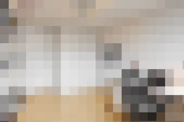 Rode Klaver 45 Uithoorn thumbnail 20