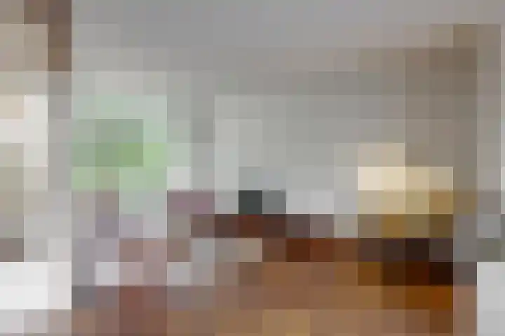 Rode Klaver 45 Uithoorn thumbnail 5