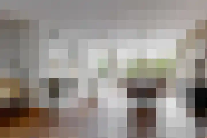 Rode Klaver 45 Uithoorn thumbnail 6