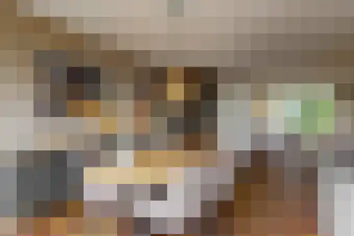 Rode Klaver 45 Uithoorn thumbnail 8
