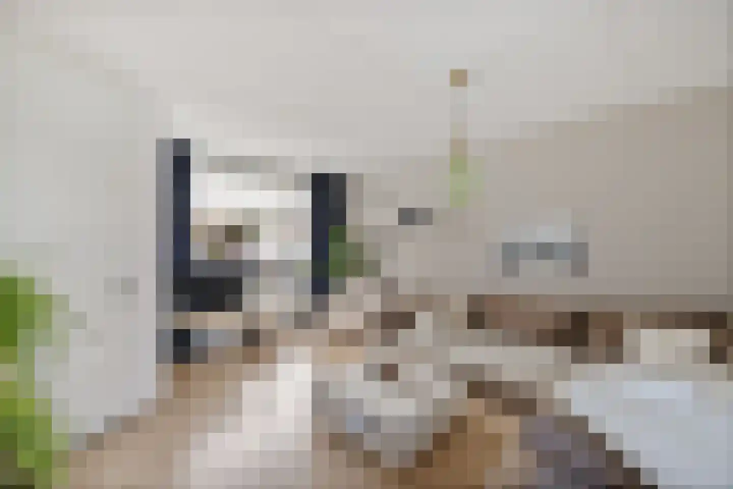 Rode Klaver 6 Sneek thumbnail 10