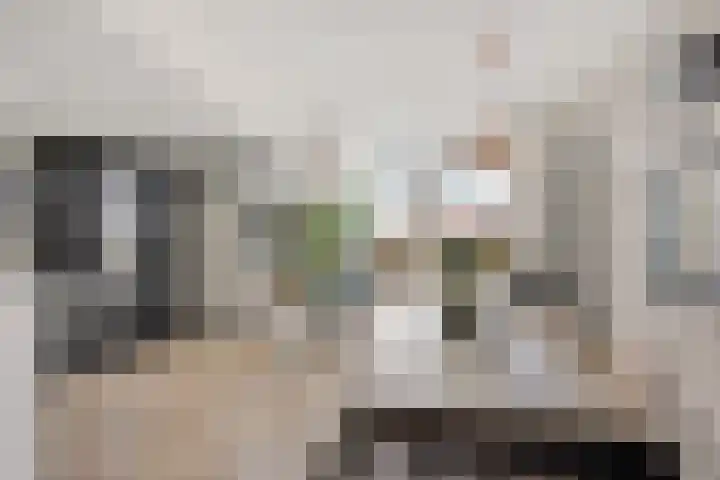 Rode Klaver 6 Sneek thumbnail 11