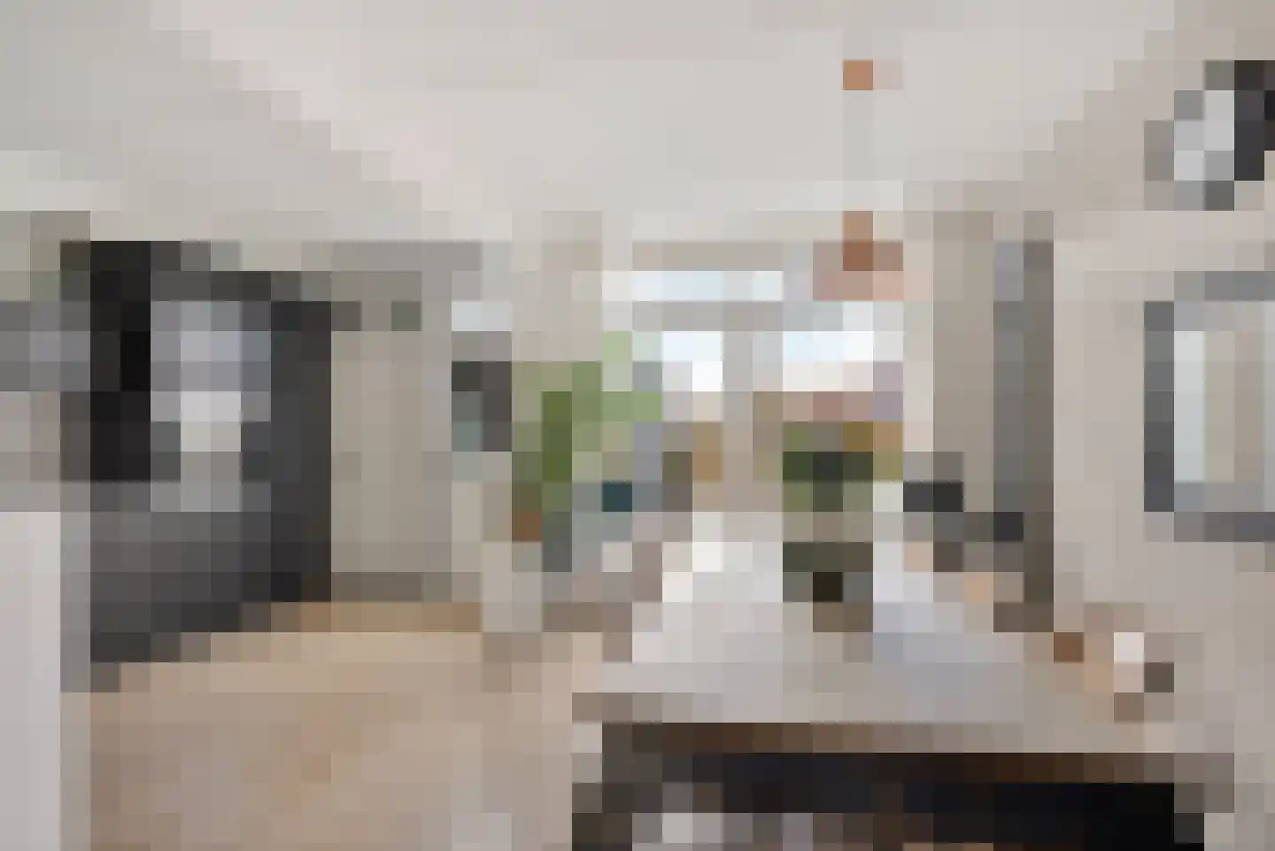 Rode Klaver 6 Sneek thumbnail 11