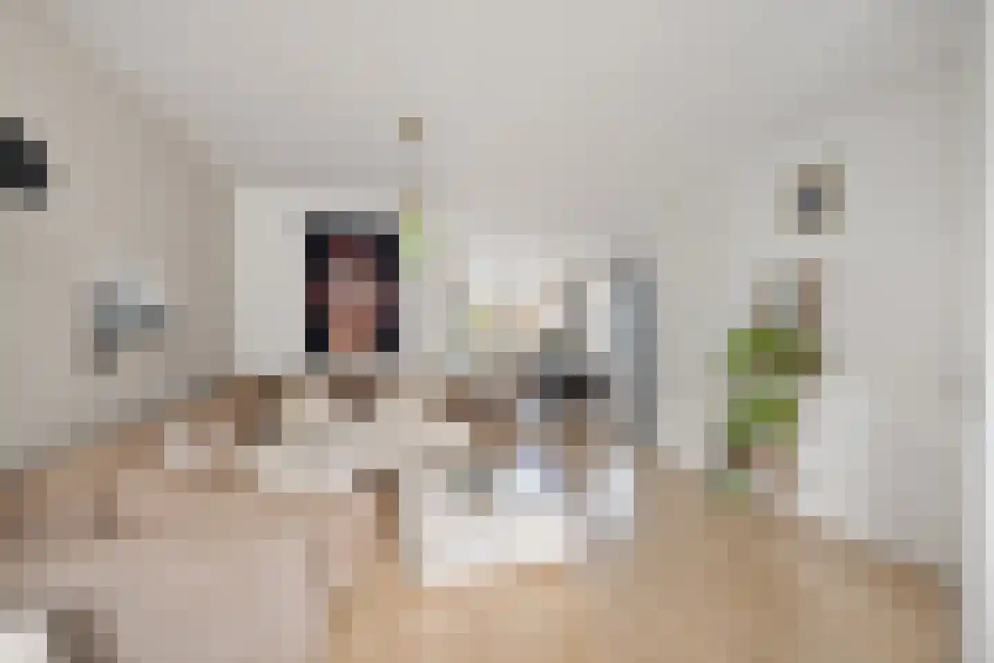 Rode Klaver 6 Sneek thumbnail 12