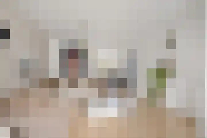 Rode Klaver 6 Sneek thumbnail 12