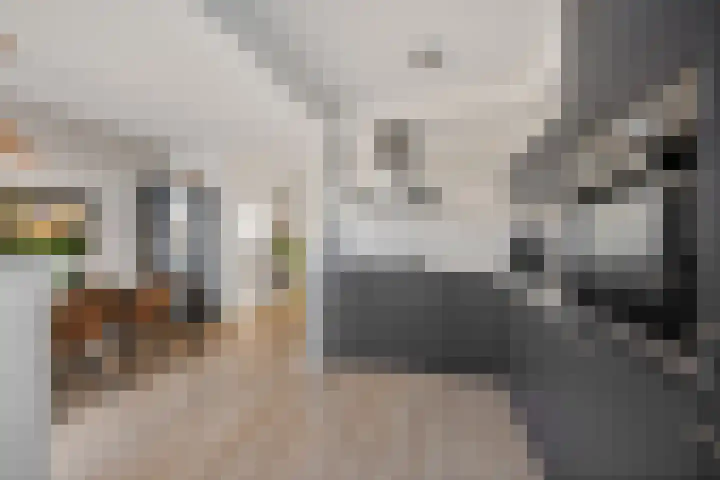 Rode Klaver 6 Sneek thumbnail 14