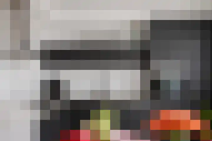 Rode Klaver 6 Sneek thumbnail 15