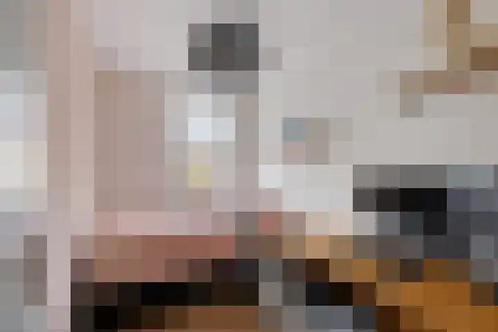 Rode Klaver 6 Sneek thumbnail 19