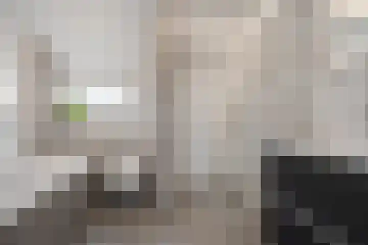 Rode Klaver 6 Sneek thumbnail 20