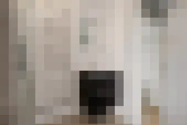 Rode Klaver 6 Sneek thumbnail 21