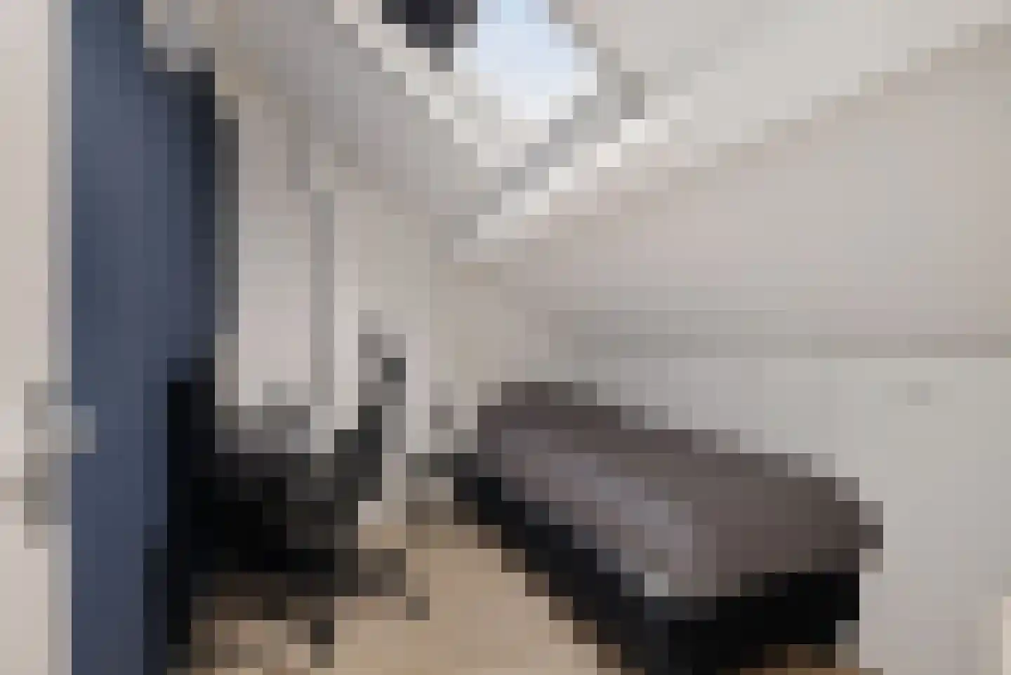 Rode Klaver 6 Sneek thumbnail 22