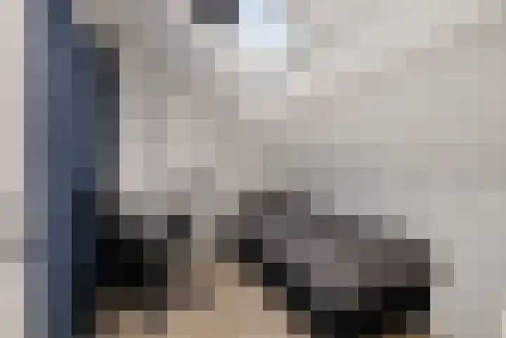 Rode Klaver 6 Sneek thumbnail 22